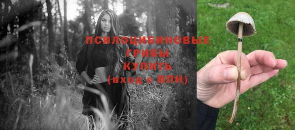 соль ск Абинск