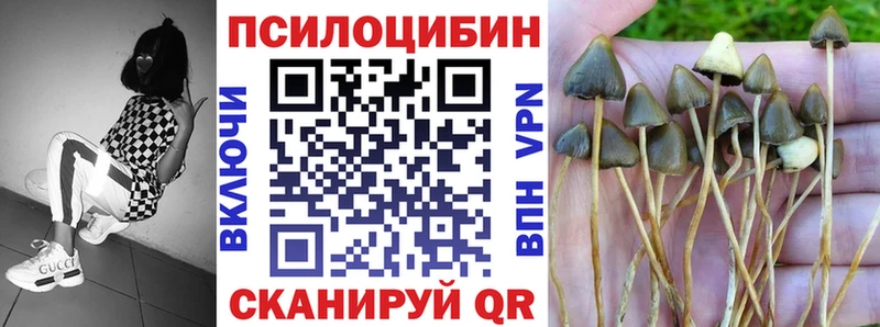 Галлюциногенные грибы мицелий  Черкесск 